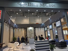 Iltas Marble